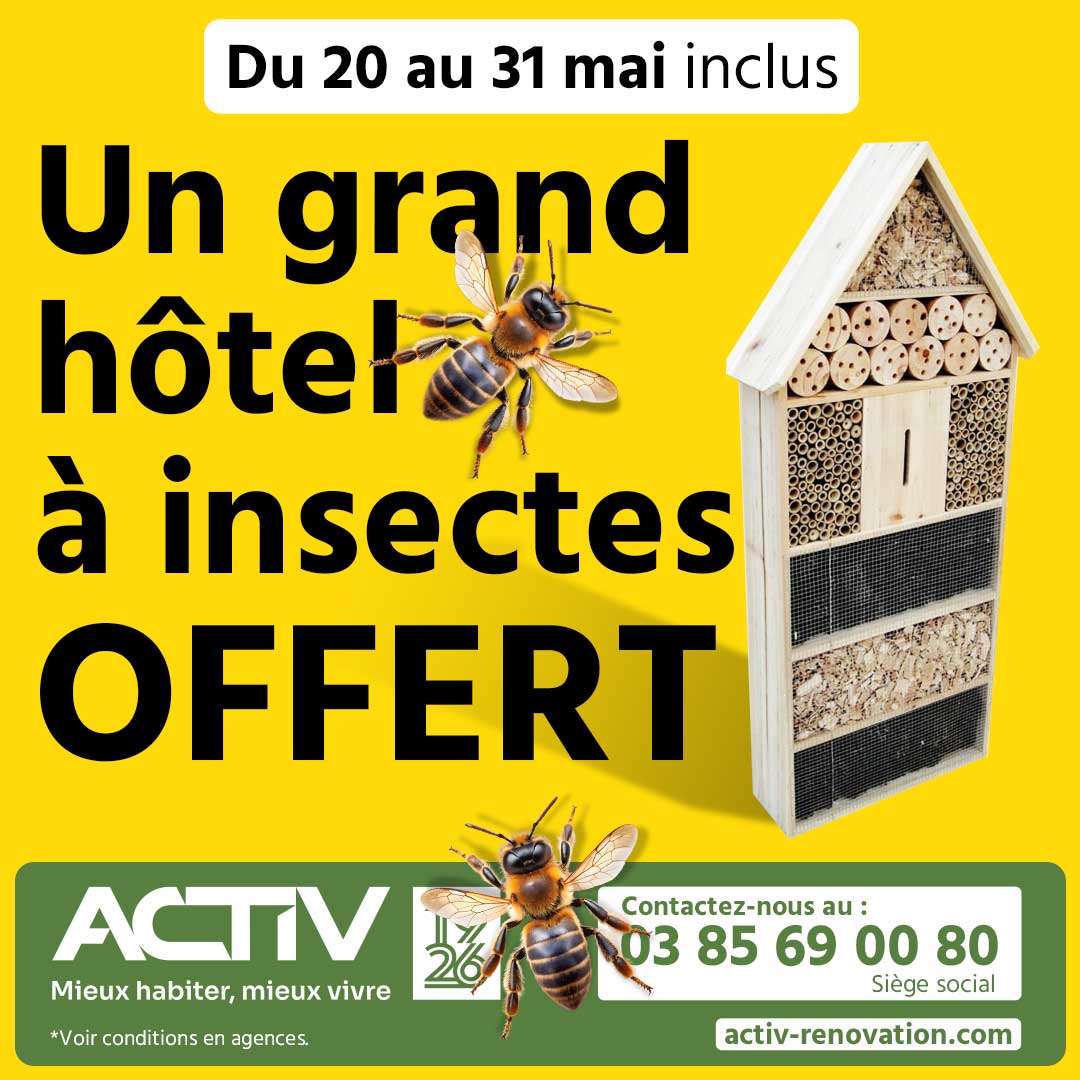 journée de l'abeille